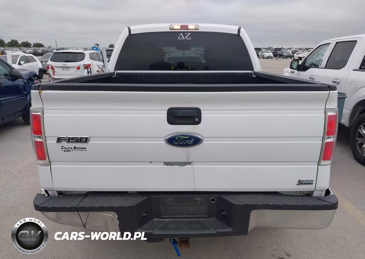 2010 Ford F-150 VIN:1FTFW1CV6AKE66981 - 16