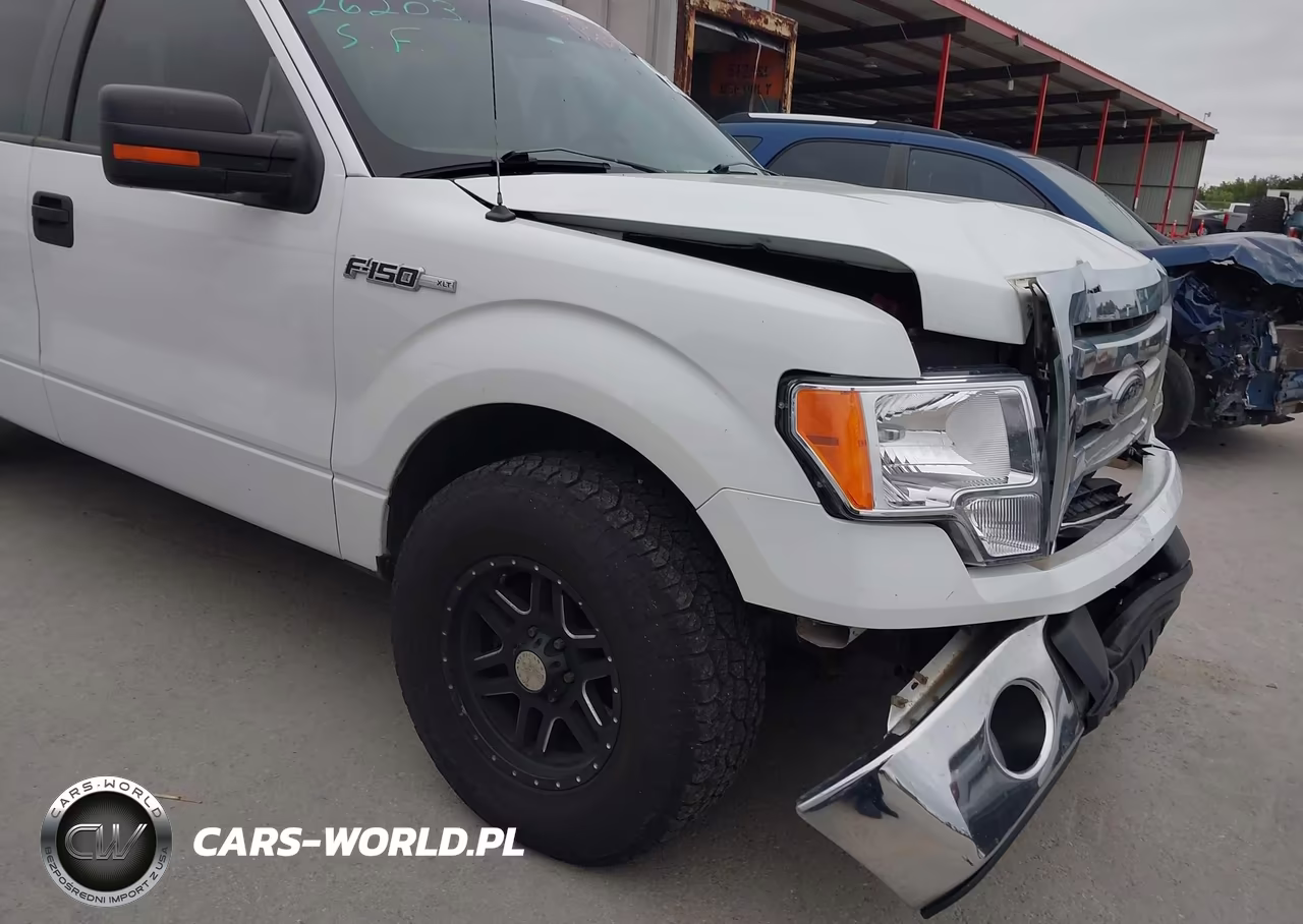 2010 Ford F-150 VIN:1FTFW1CV6AKE66981 - 17