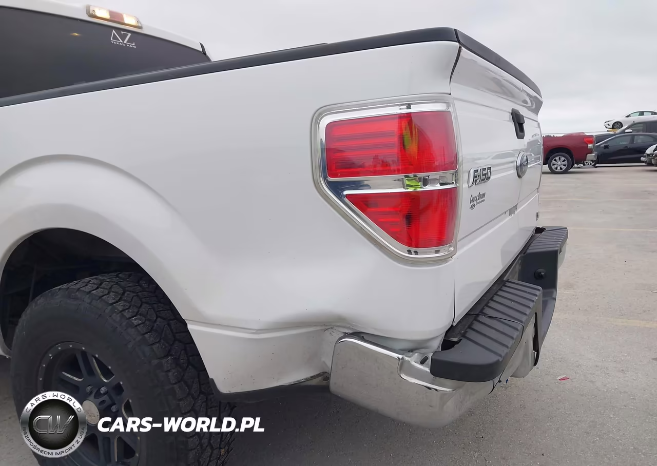 2010 Ford F-150 VIN:1FTFW1CV6AKE66981 - 19