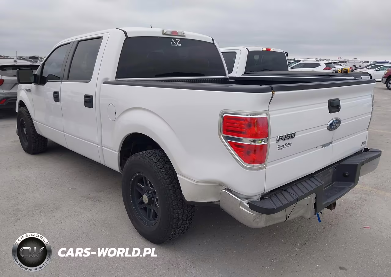 2010 Ford F-150 VIN:1FTFW1CV6AKE66981 - 3