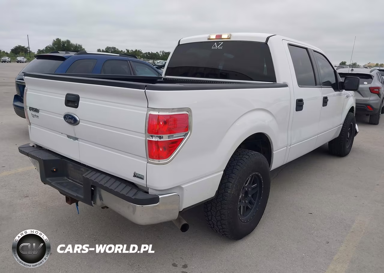 2010 Ford F-150 VIN:1FTFW1CV6AKE66981 - 4