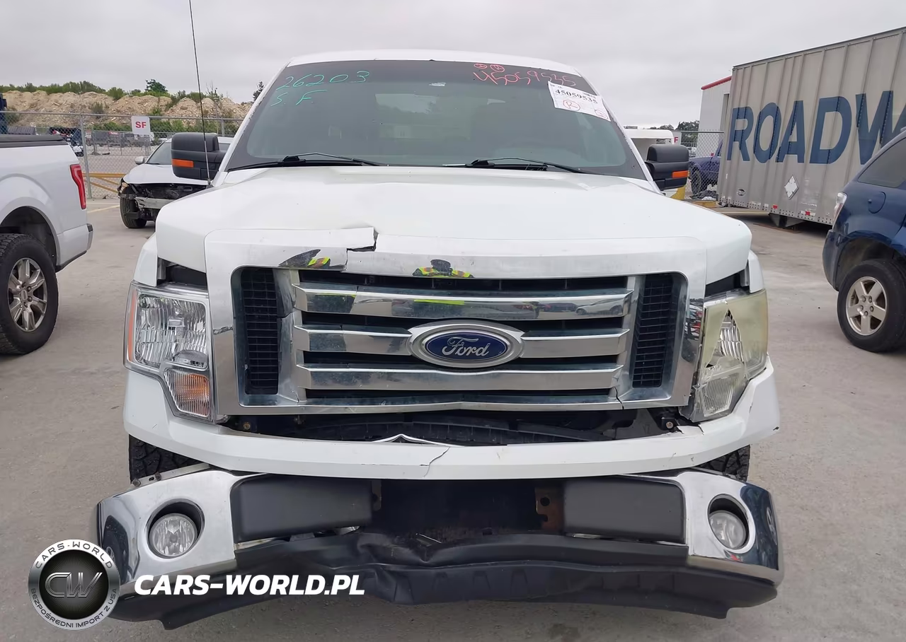 2010 Ford F-150 VIN:1FTFW1CV6AKE66981 - 6