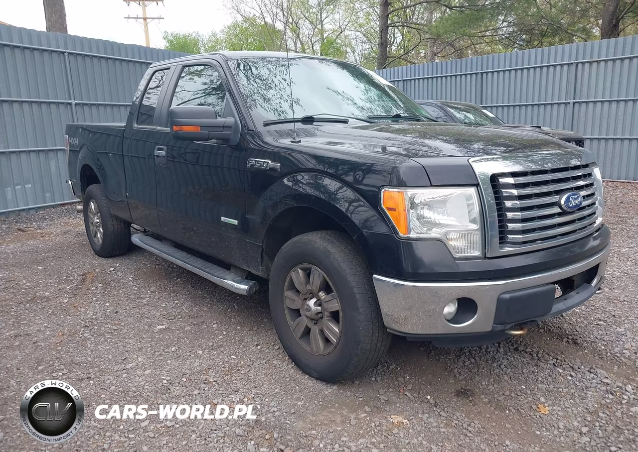 Główne zdjęcie 2011 Ford F-150 Xlt