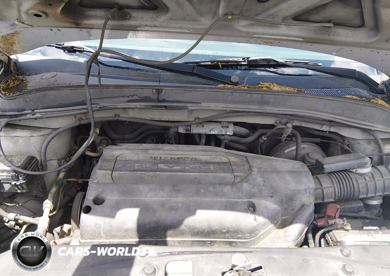 2004 Honda Pilot Ex VIN:2HKYF18444H553063 - 10