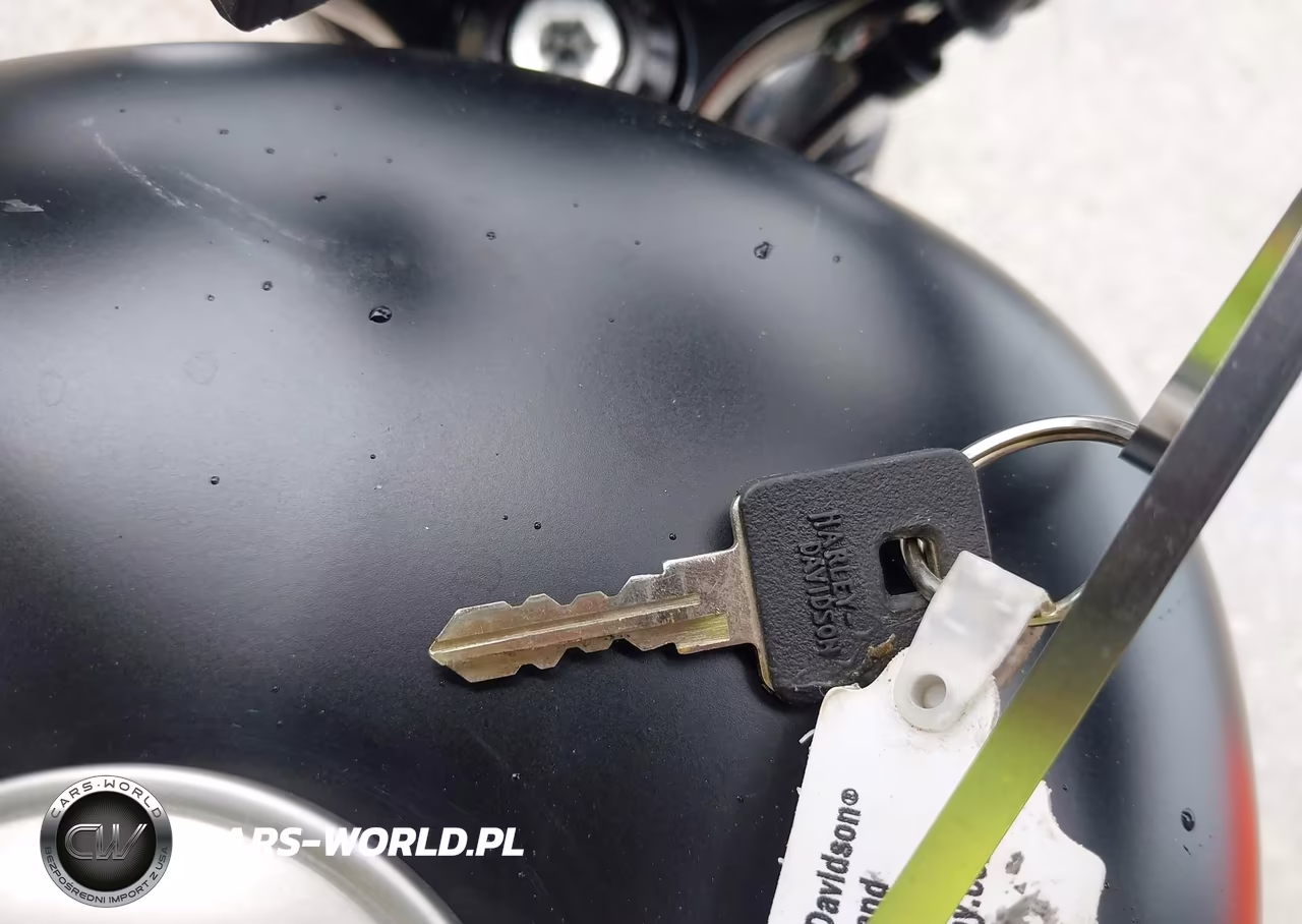 2021 Harley-Davidson Xl883 N VIN:1HD4LE21XMB419106 - 11