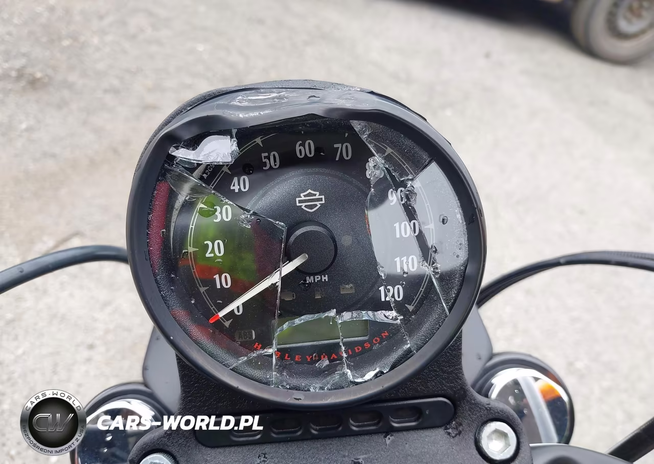 2021 Harley-Davidson Xl883 N VIN:1HD4LE21XMB419106 - 7