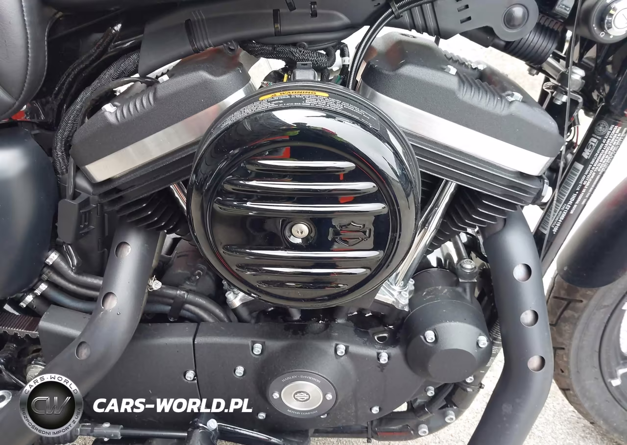 2021 Harley-Davidson Xl883 N VIN:1HD4LE21XMB419106 - 8
