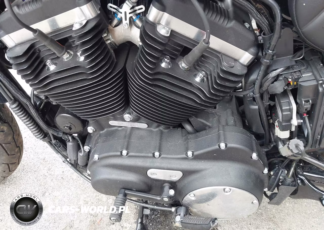 2021 Harley-Davidson Xl883 N VIN:1HD4LE21XMB419106 - 9