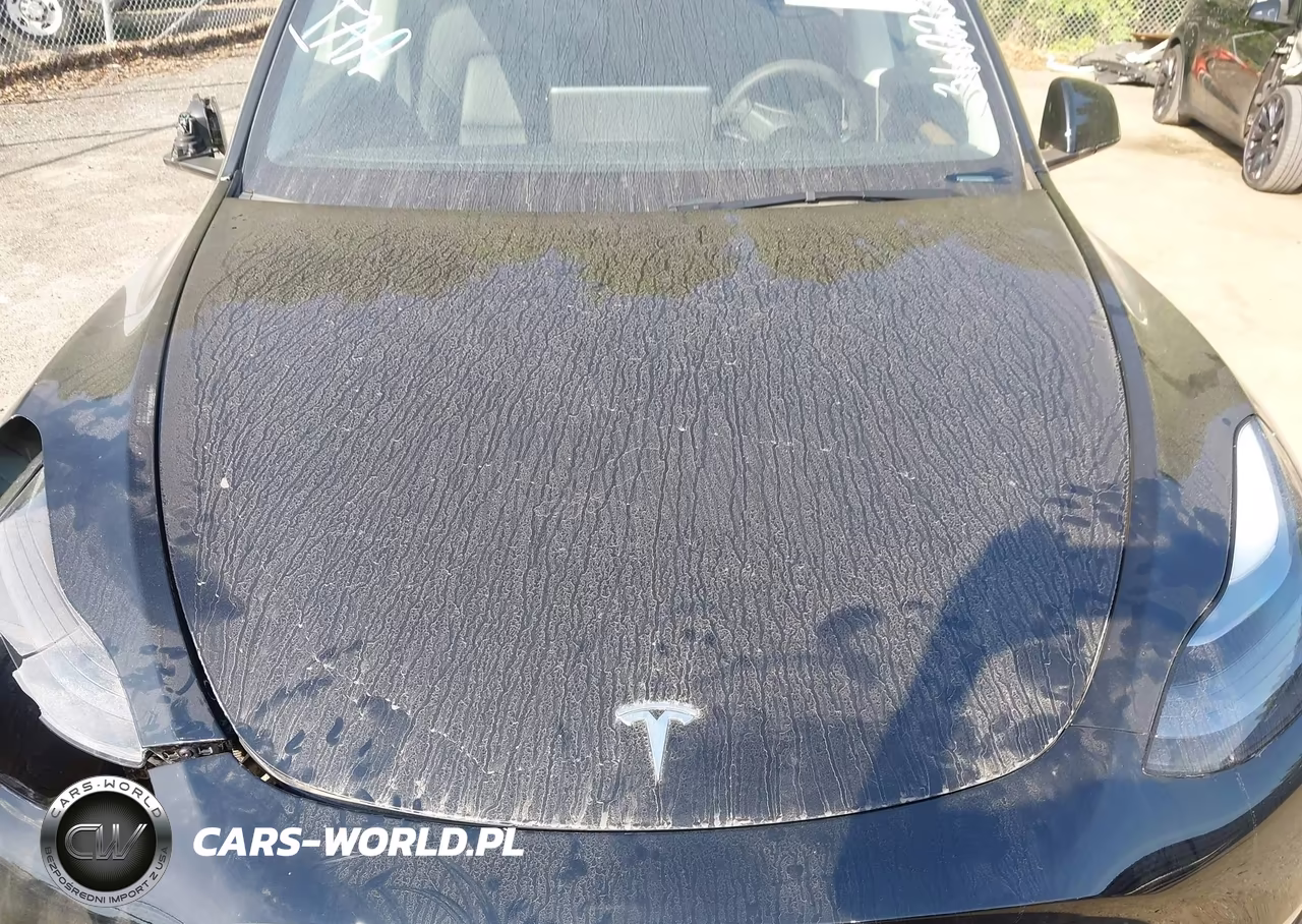 2025 Tesla Model Y Long Range Dual Motor Rear-Wheel Drive VIN:7SAYGDED9SA360230 - 10