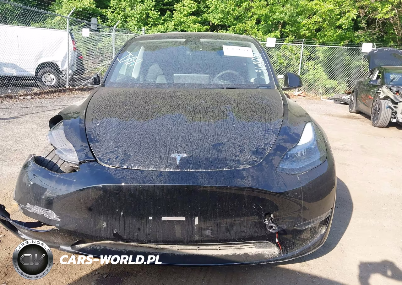 2025 Tesla Model Y Long Range Dual Motor Rear-Wheel Drive VIN:7SAYGDED9SA360230 - 11