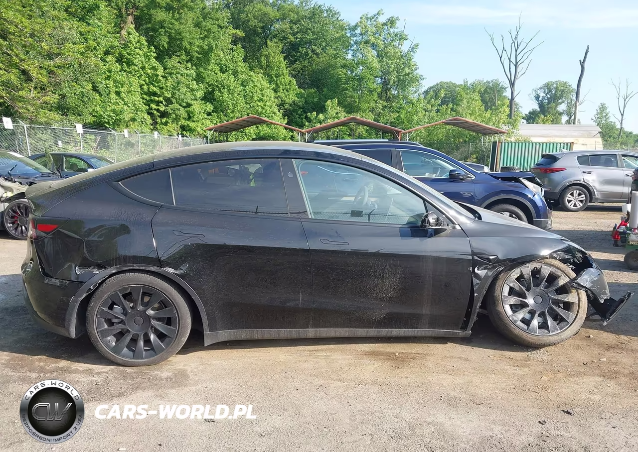 2025 Tesla Model Y Long Range Dual Motor Rear-Wheel Drive VIN:7SAYGDED9SA360230 - 12