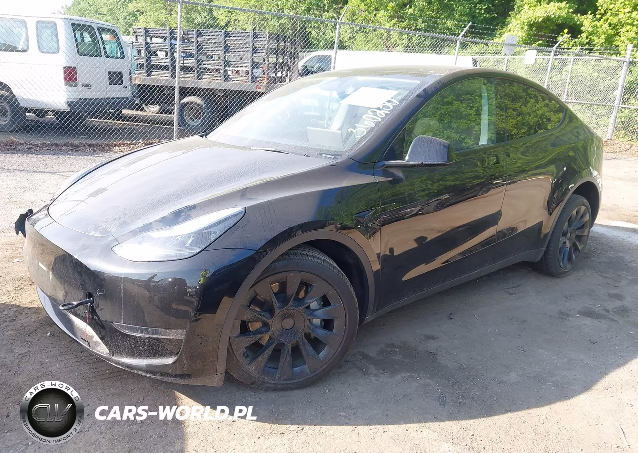 2025 Tesla Model Y Long Range Dual Motor Rear-Wheel Drive VIN:7SAYGDED9SA360230 - 2