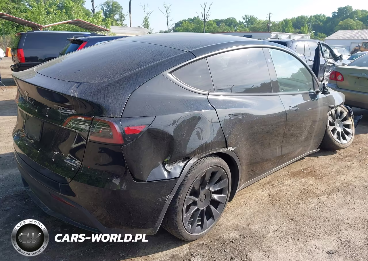 2025 Tesla Model Y Long Range Dual Motor Rear-Wheel Drive VIN:7SAYGDED9SA360230 - 4
