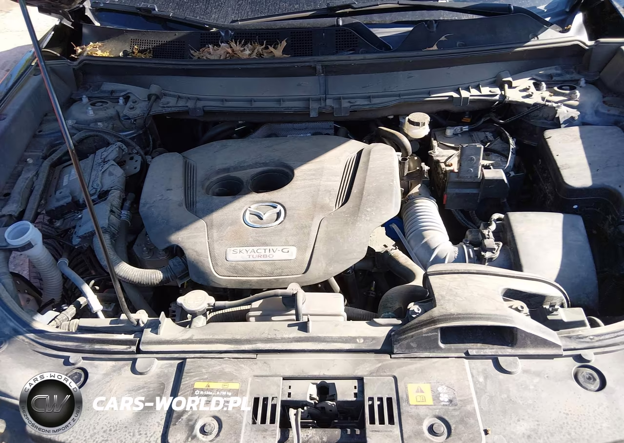 2021 Mazda Cx-9 Touring VIN:JM3TCBCY2M0542165 - 10