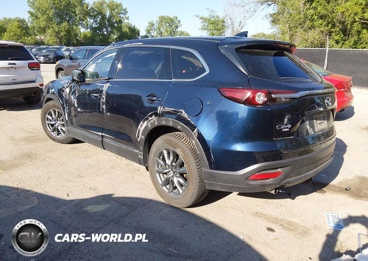 2021 Mazda Cx-9 Touring VIN:JM3TCBCY2M0542165 - 3