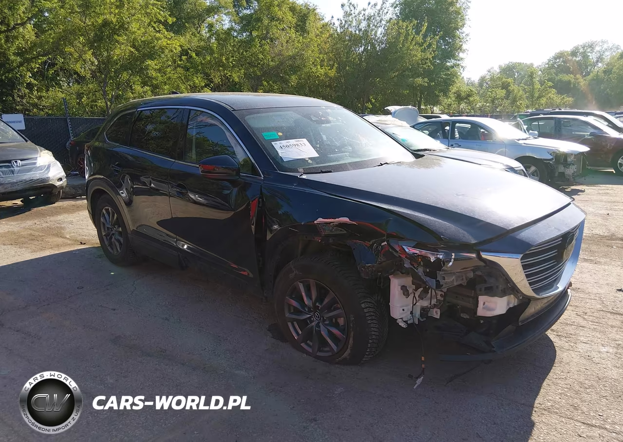 2021 Mazda Cx-9 Touring VIN:JM3TCBCY2M0542165 - 6