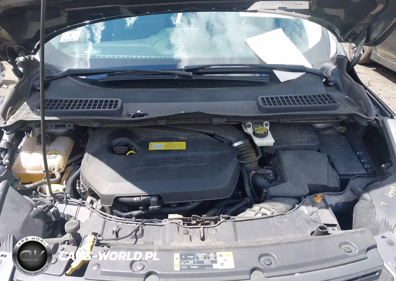 2013 Ford Escape Se VIN:1FMCU0GX4DUD65036 - 10