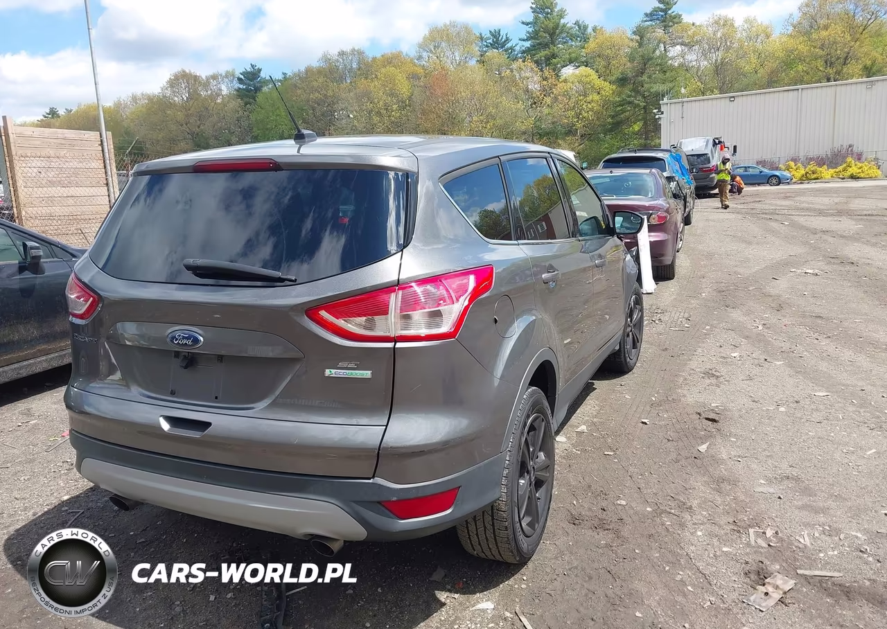 2013 Ford Escape Se VIN:1FMCU0GX4DUD65036 - 4