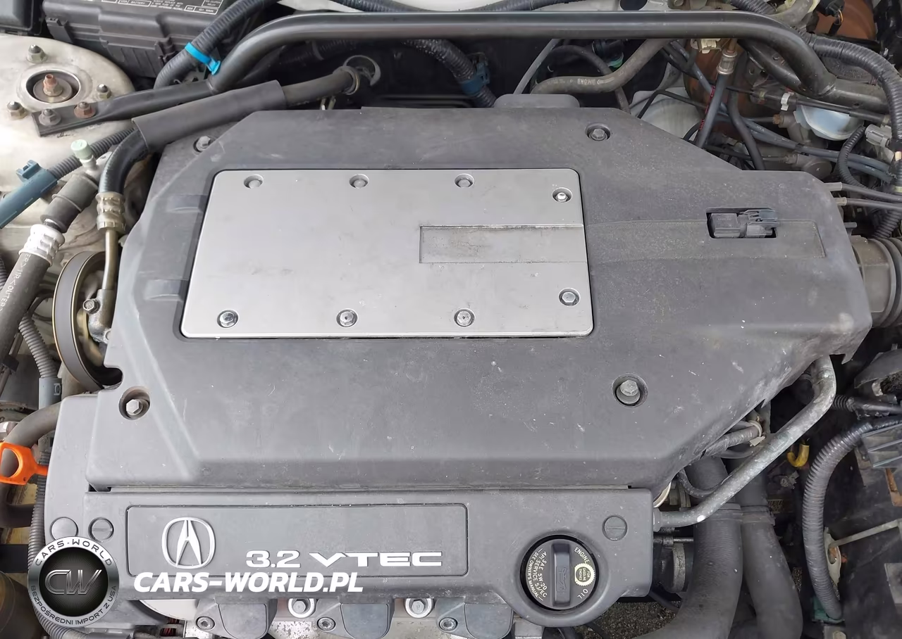 2002 Acura Tl 3.2 VIN:19UUA56642A042841 - 10