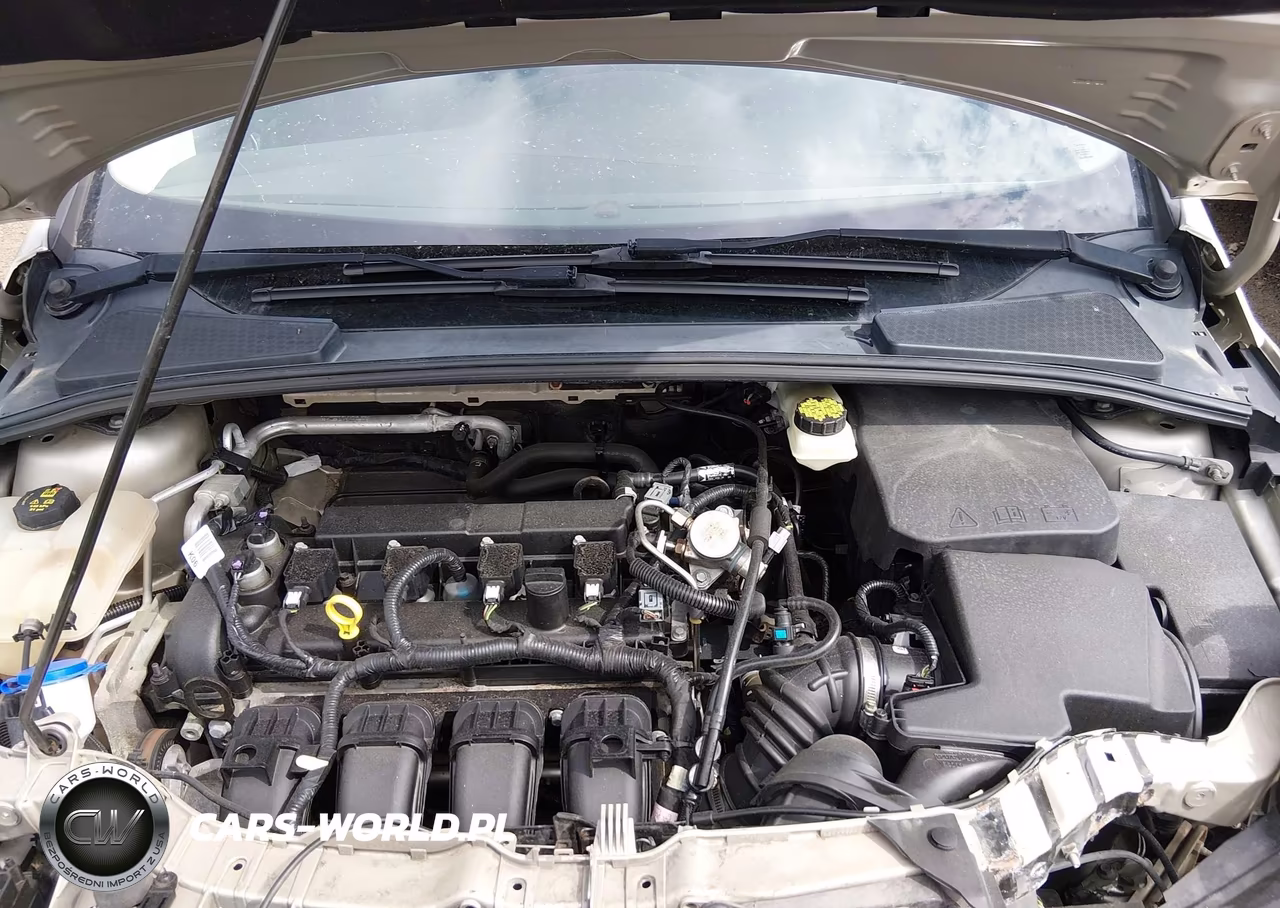 2017 Ford Focus Se VIN:1FADP3F24HL291819 - 10