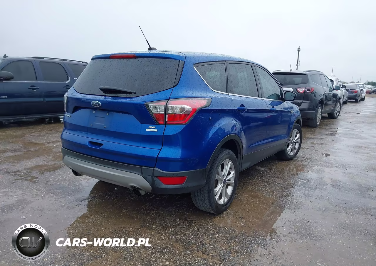 2017 Ford Escape Se VIN:1FMCU0GD6HUA13331 - 4