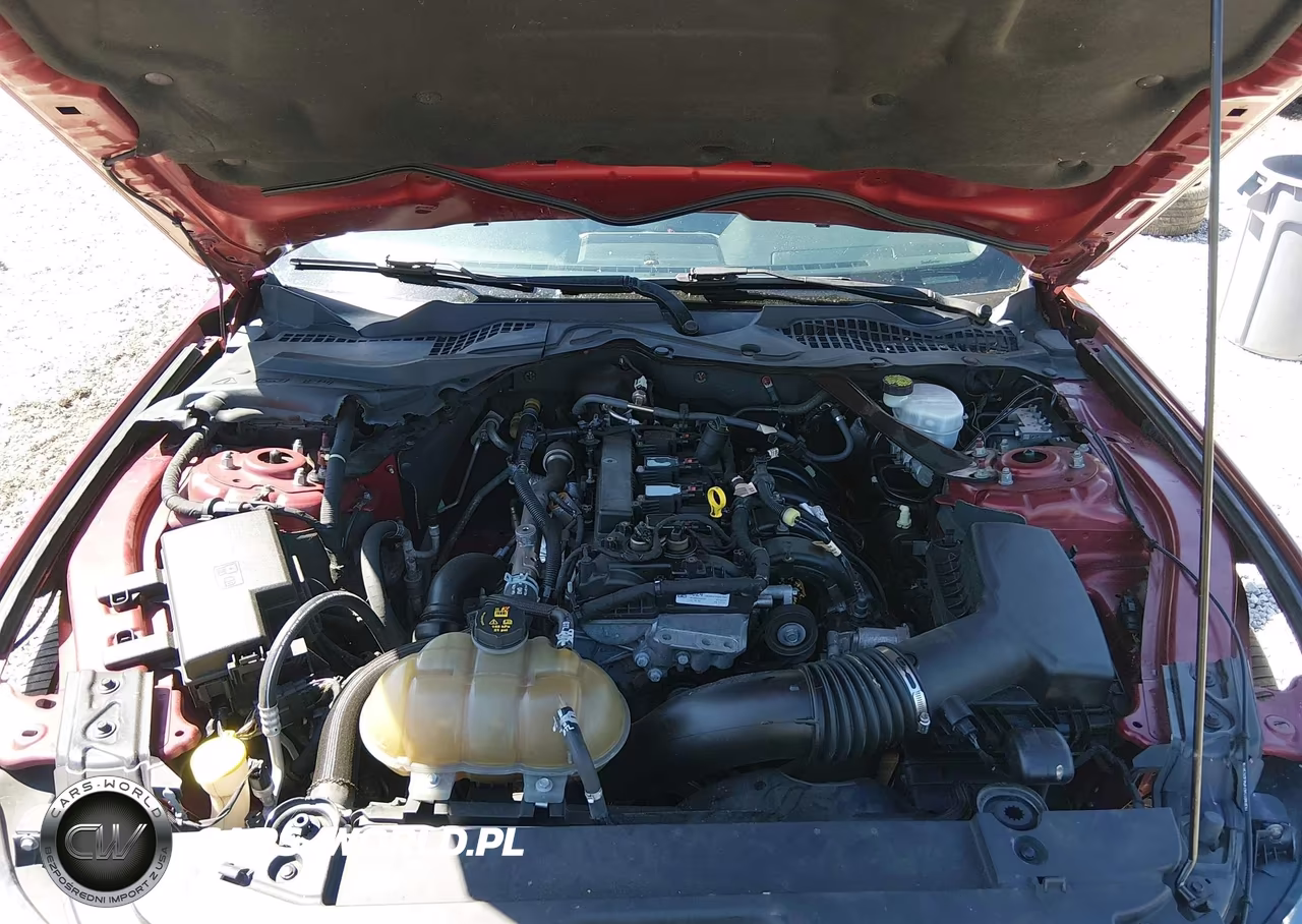 2016 Ford Mustang Ecoboost VIN:1FA6P8TH0G5201261 - 10
