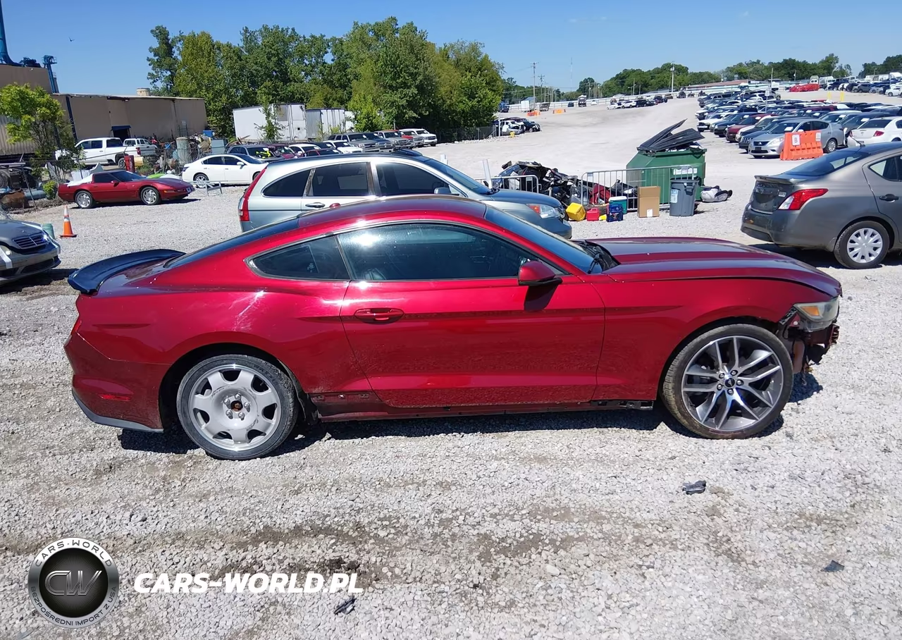 2016 Ford Mustang Ecoboost VIN:1FA6P8TH0G5201261 - 13