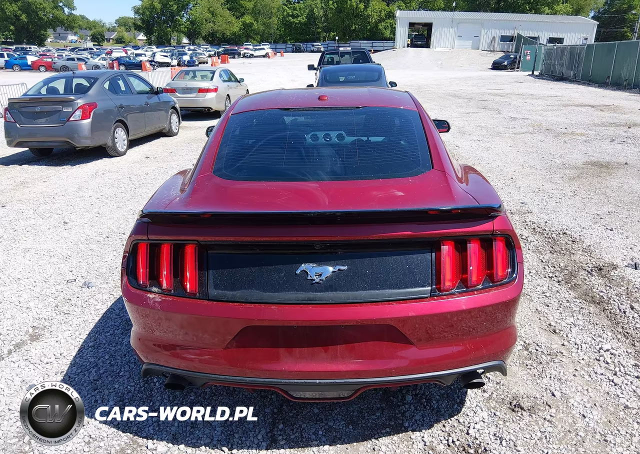 2016 Ford Mustang Ecoboost VIN:1FA6P8TH0G5201261 - 16