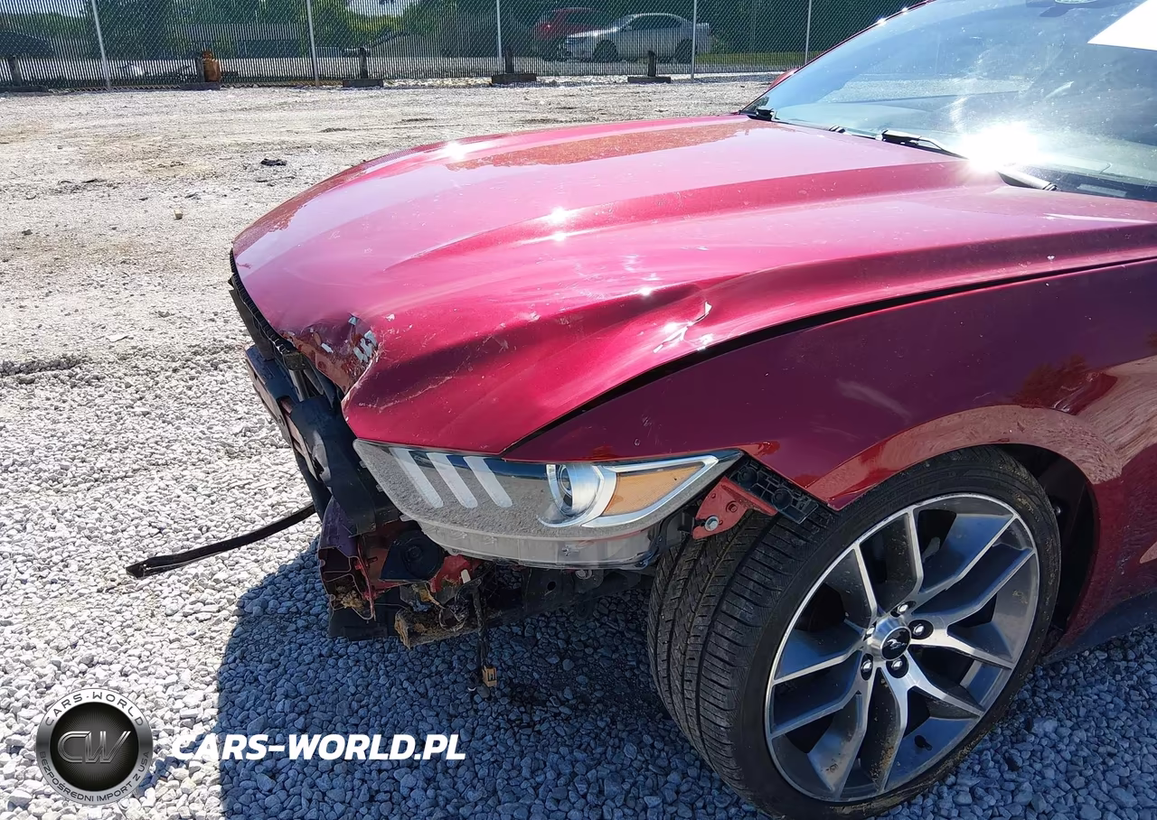 2016 Ford Mustang Ecoboost VIN:1FA6P8TH0G5201261 - 17