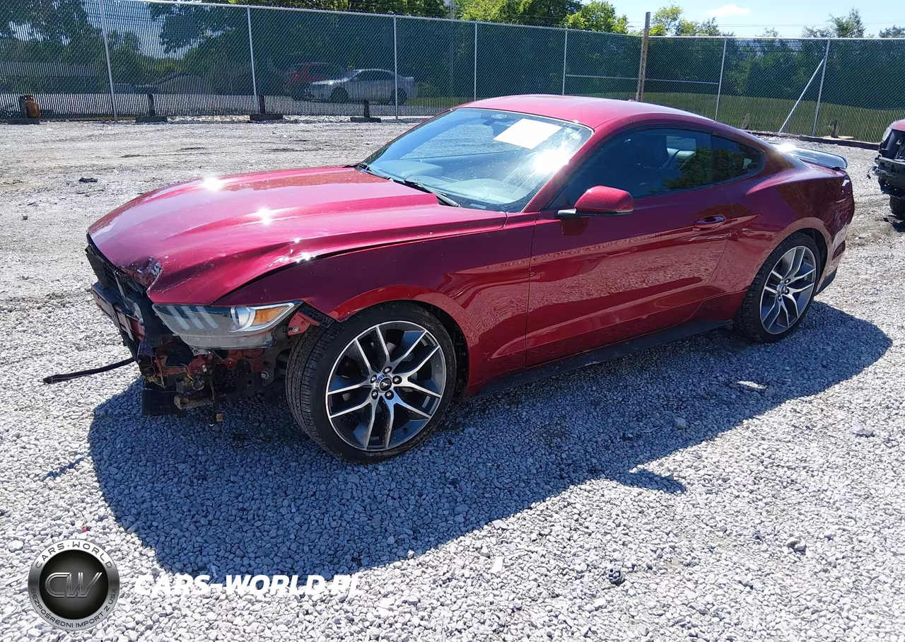2016 Ford Mustang Ecoboost VIN:1FA6P8TH0G5201261 - 2