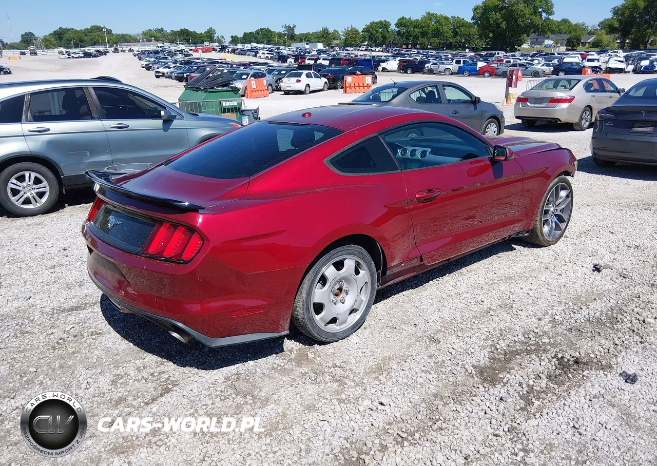 2016 Ford Mustang Ecoboost VIN:1FA6P8TH0G5201261 - 4