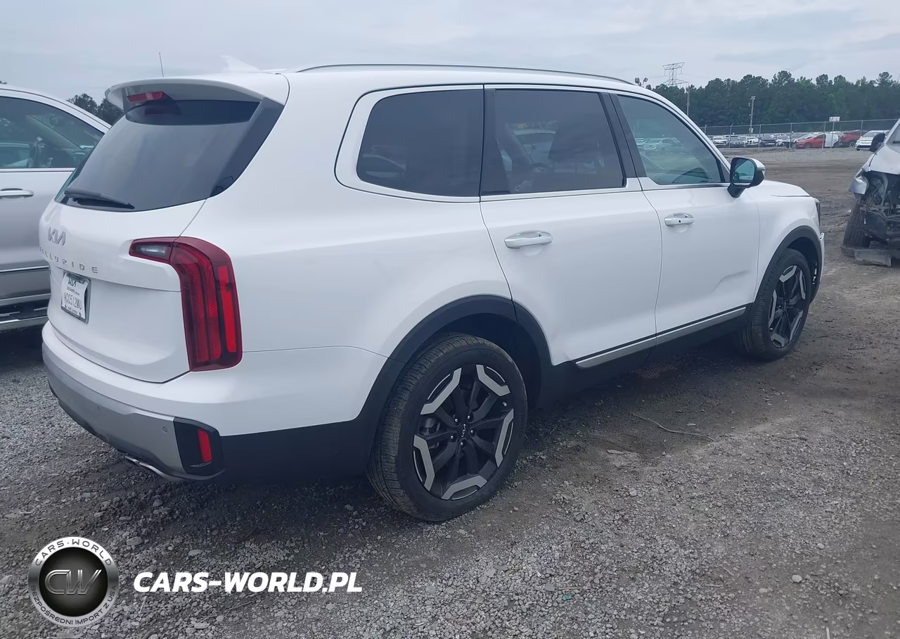 2024 Kia Telluride S VIN:5XYP64GC4RG413678 - 4