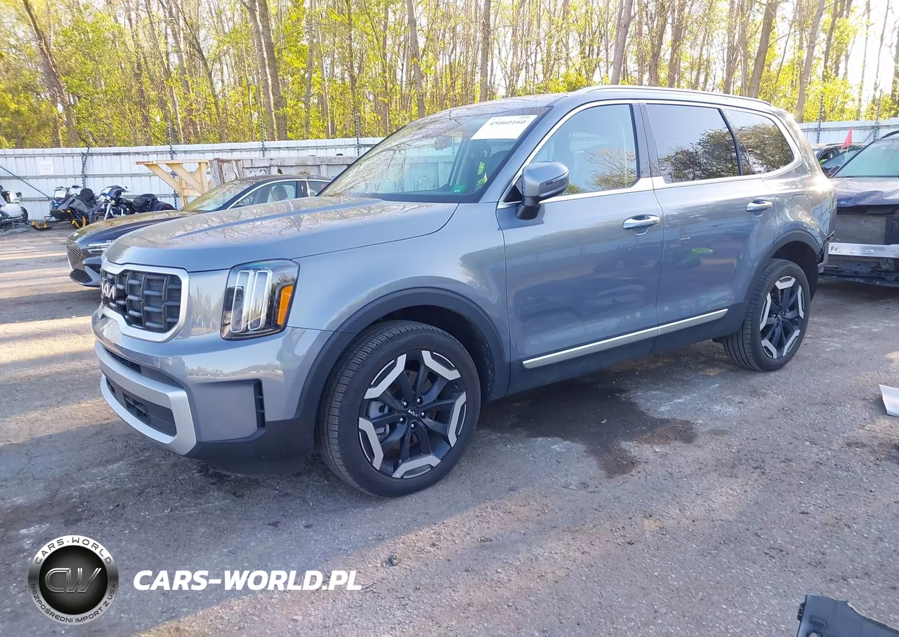 2025 Kia Telluride S VIN:5XYP6DGC4SG655229 - 2