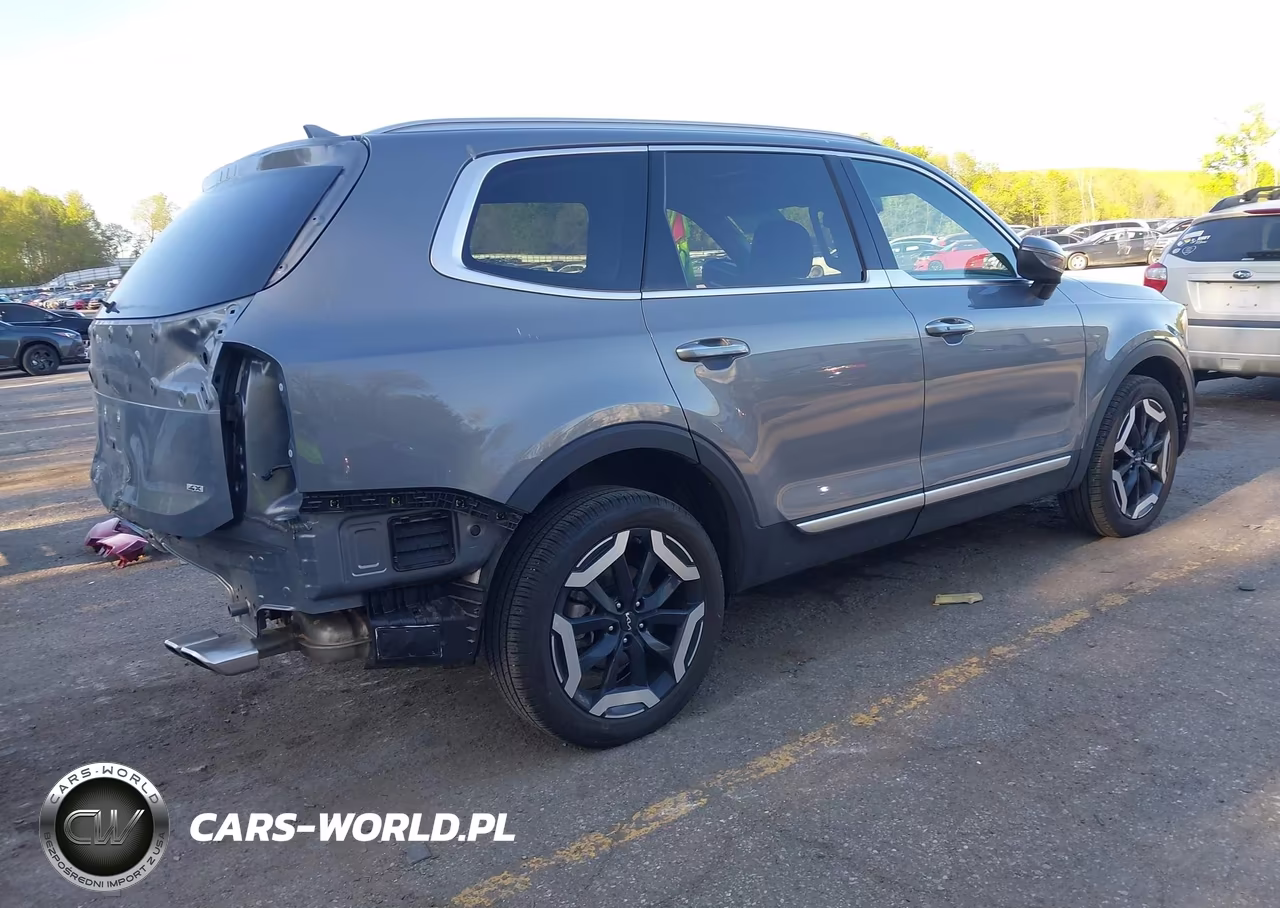 2025 Kia Telluride S VIN:5XYP6DGC4SG655229 - 4