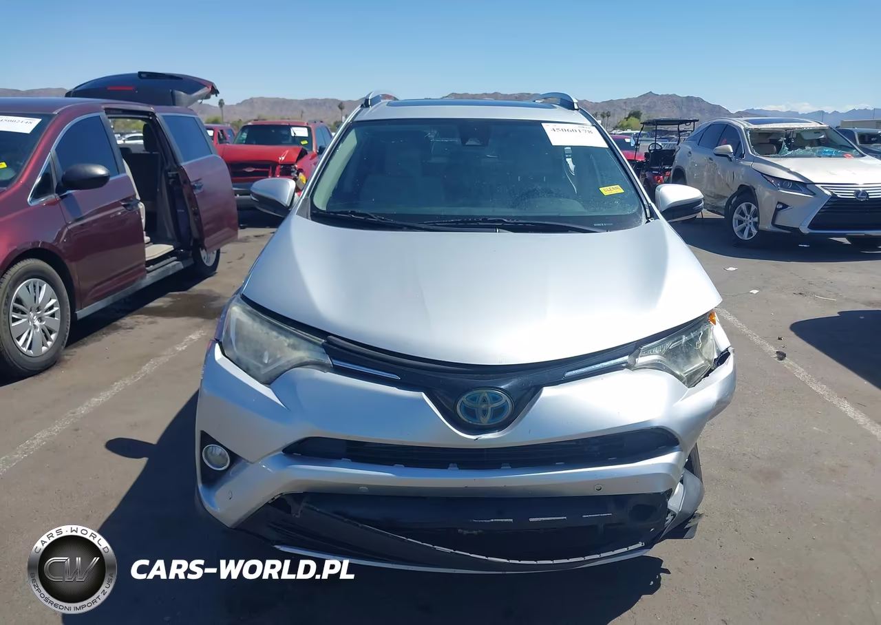 2016 Toyota Rav4 Hybrid Xle VIN:JTMRJREV7GD054699 - 12