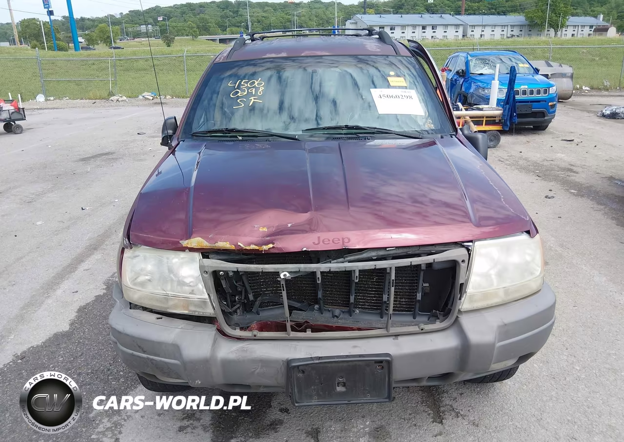 1999 Jeep Grand Cherokee Laredo VIN:1J4GW58S3XC796066 - 19