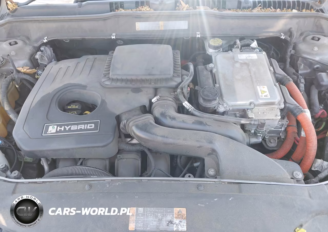 2013 Ford Fusion Hybrid Se VIN:3FA6P0LUXDR169961 - 10