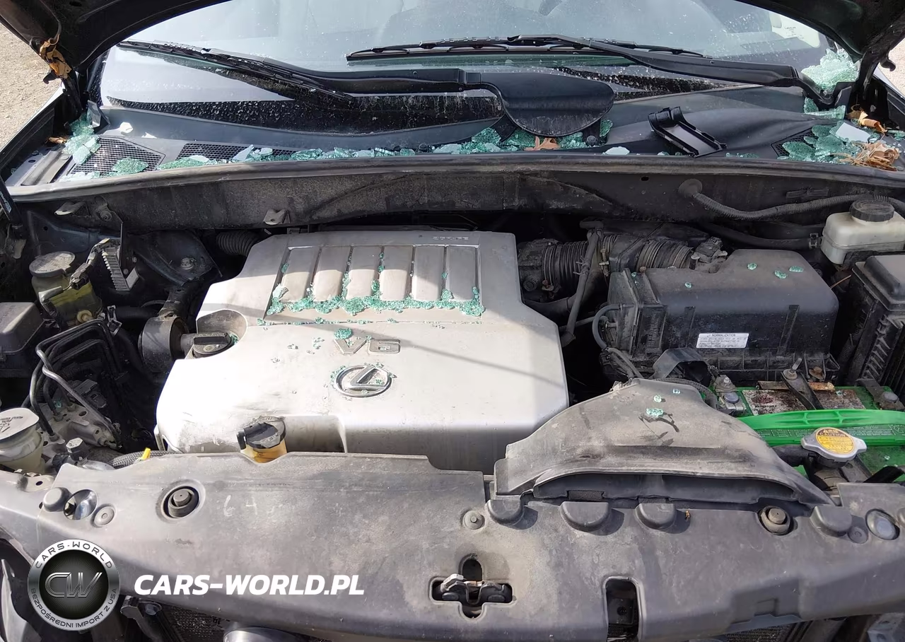 2009 Lexus Rx 350 VIN:2T2HK31U59C133898 - 10