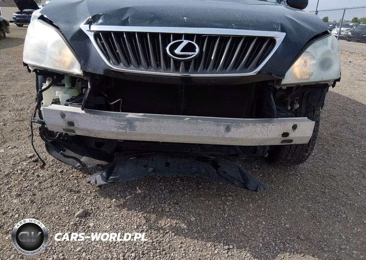 2009 Lexus Rx 350 VIN:2T2HK31U59C133898 - 6