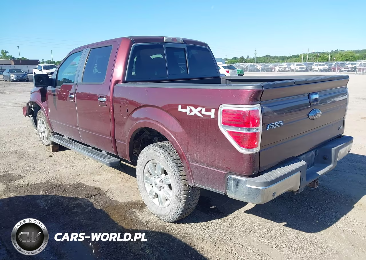 2010 Ford F-150 Lariat VIN:1FTFW1EV5AKA66570 - 3
