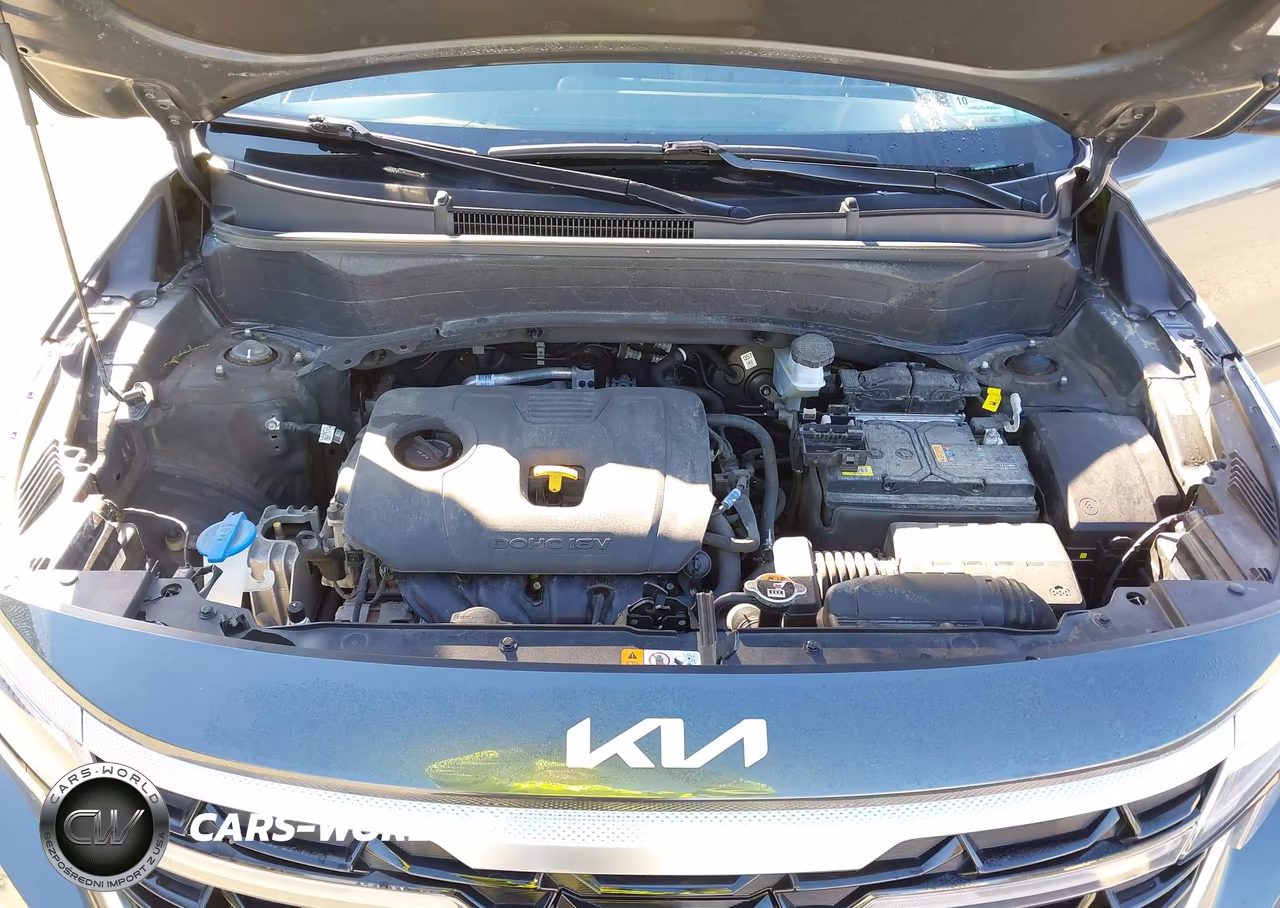 2024 Kia Seltos Ex VIN:KNDERCAAXR7652956 - 10