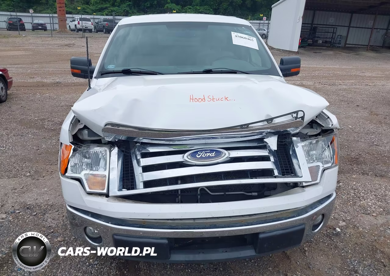2010 Ford F-150 Fx2 Sport-Harley-Davidson-King Ranch-Lariat-Platinum-Xl-Xlt VIN:1FTFW1CV2AKC18064 - 10