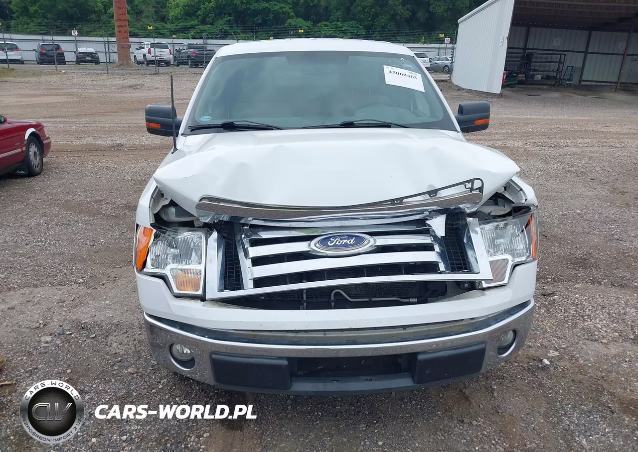 2010 Ford F-150 Fx2 Sport-Harley-Davidson-King Ranch-Lariat-Platinum-Xl-Xlt VIN:1FTFW1CV2AKC18064 - 12