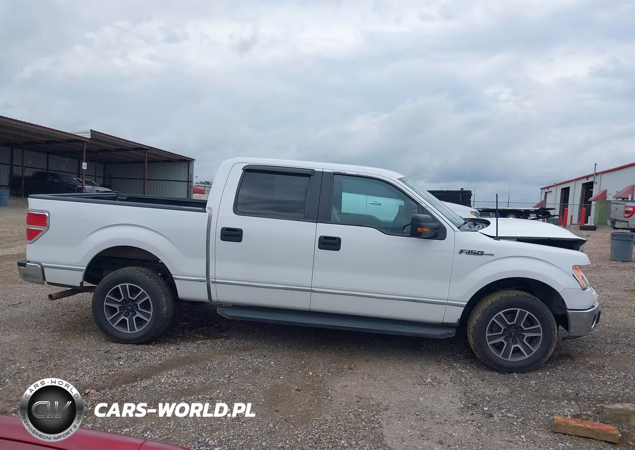 2010 Ford F-150 Fx2 Sport-Harley-Davidson-King Ranch-Lariat-Platinum-Xl-Xlt VIN:1FTFW1CV2AKC18064 - 13