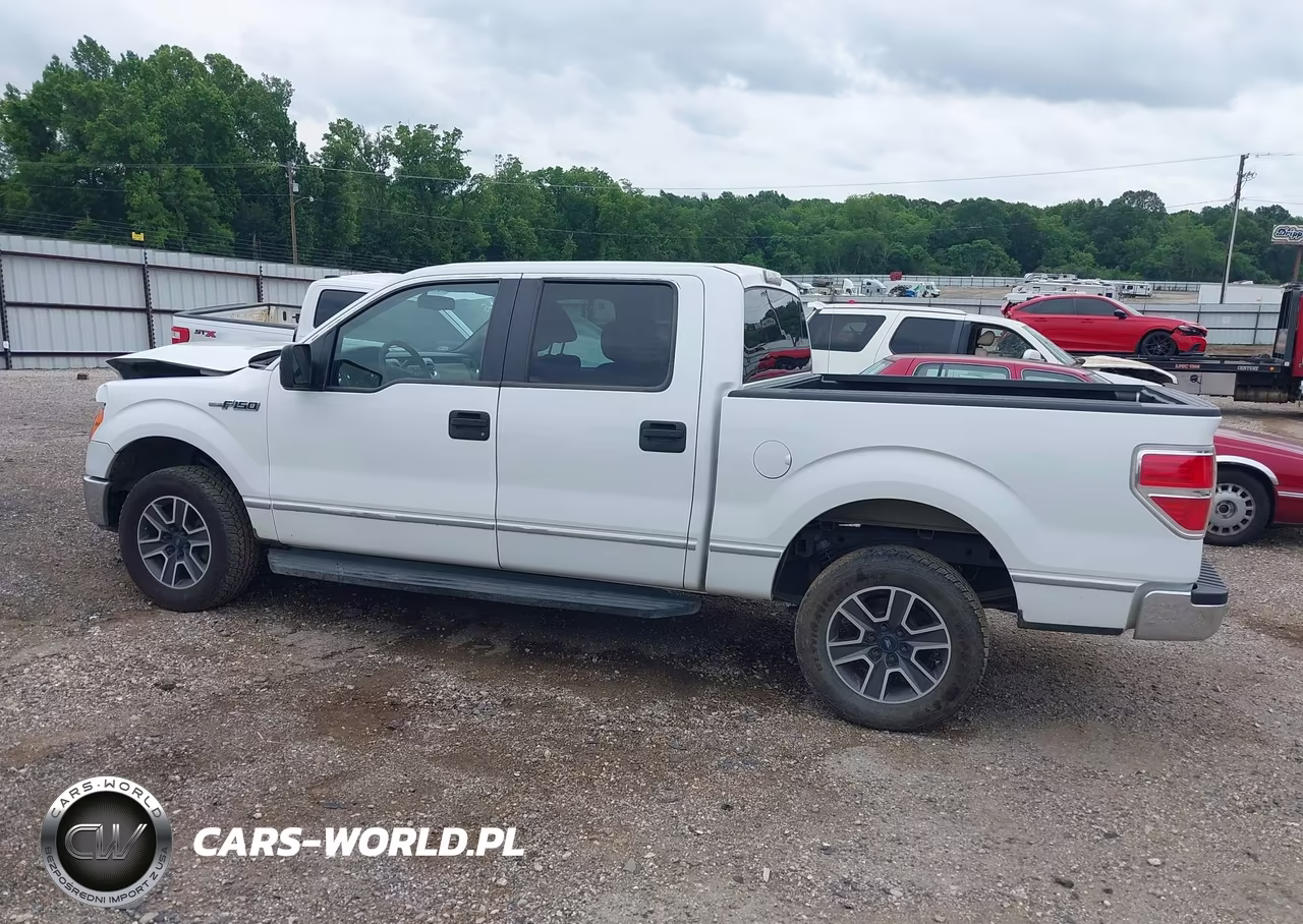 2010 Ford F-150 Fx2 Sport-Harley-Davidson-King Ranch-Lariat-Platinum-Xl-Xlt VIN:1FTFW1CV2AKC18064 - 14