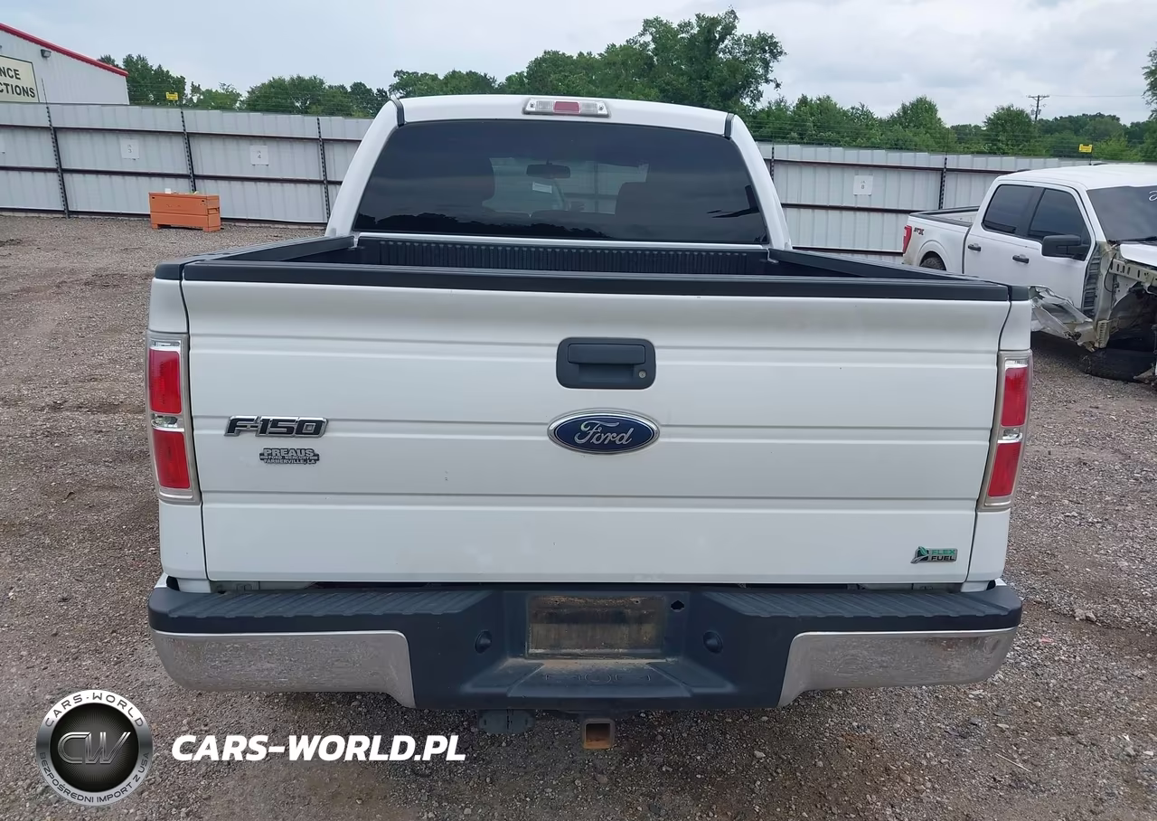2010 Ford F-150 Fx2 Sport-Harley-Davidson-King Ranch-Lariat-Platinum-Xl-Xlt VIN:1FTFW1CV2AKC18064 - 16