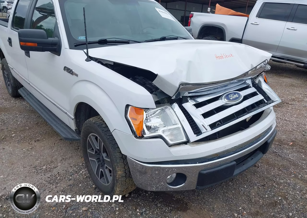 2010 Ford F-150 Fx2 Sport-Harley-Davidson-King Ranch-Lariat-Platinum-Xl-Xlt VIN:1FTFW1CV2AKC18064 - 17