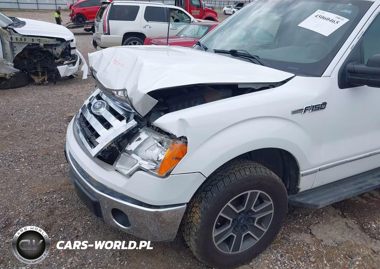 2010 Ford F-150 Fx2 Sport-Harley-Davidson-King Ranch-Lariat-Platinum-Xl-Xlt VIN:1FTFW1CV2AKC18064 - 18