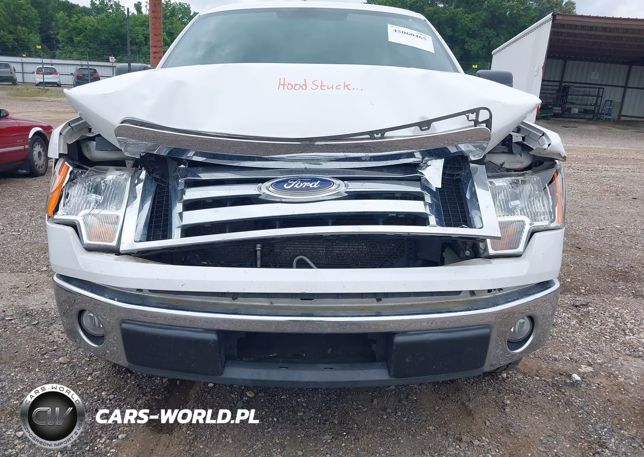 2010 Ford F-150 Fx2 Sport-Harley-Davidson-King Ranch-Lariat-Platinum-Xl-Xlt VIN:1FTFW1CV2AKC18064 - 19