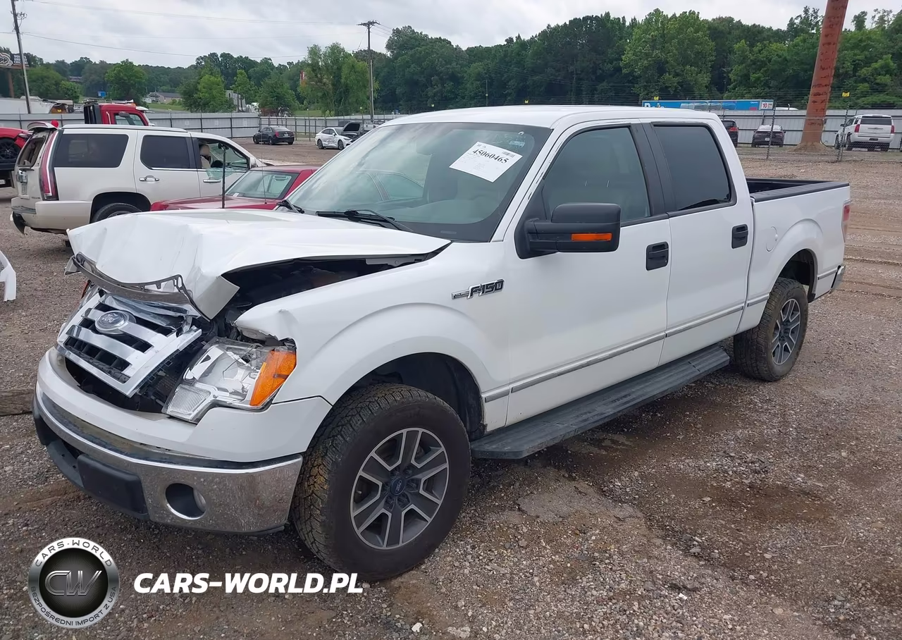 2010 Ford F-150 Fx2 Sport-Harley-Davidson-King Ranch-Lariat-Platinum-Xl-Xlt VIN:1FTFW1CV2AKC18064 - 2